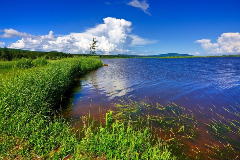 земля р-н Надеждинский СНТ Речное фото 3