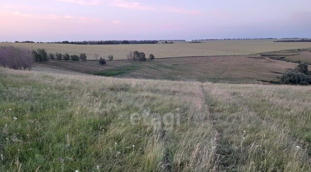 земля с Дегтярное Малакеевское с/пос фото