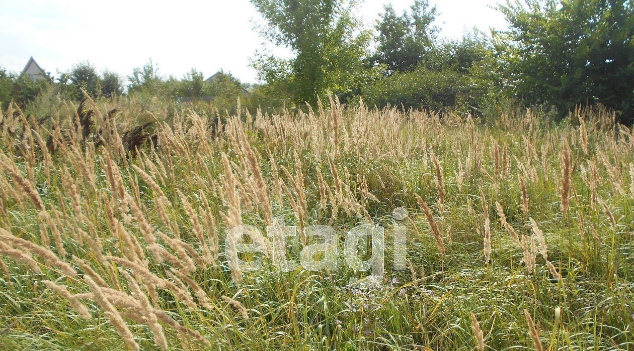 земля р-н Валуйский г Валуйки ул Свободы фото 2