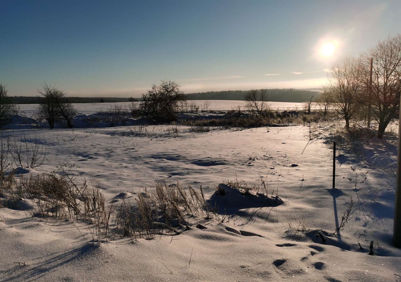 земля городской округ Дмитровский г Яхрома 46Н-01025 фото 6