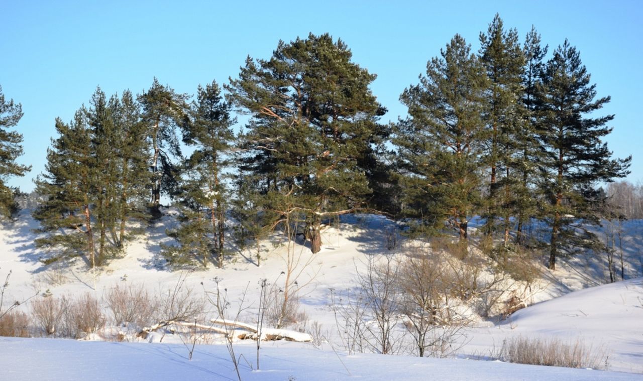 земля городской округ Можайский 9807 км, дачи, Можайск, Минское шоссе фото 4