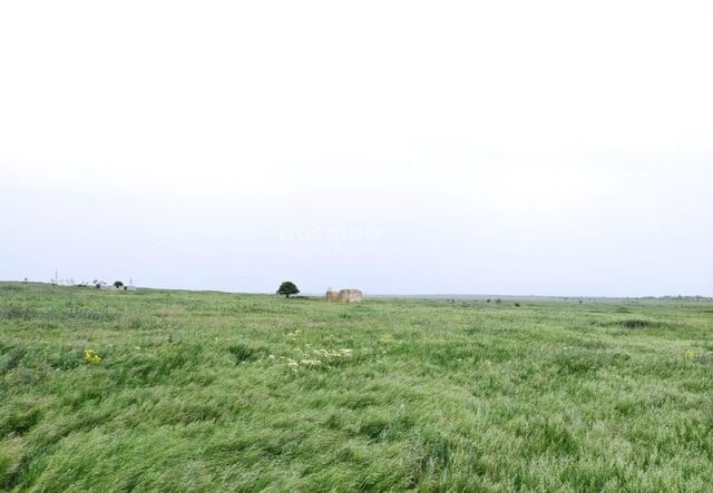 Батальненское сельское поселение, Приморский фото