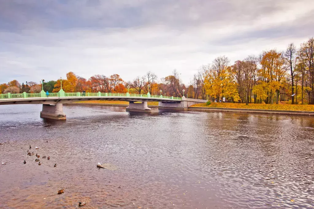 квартира г Санкт-Петербург ул Савушкина 104 Беговая фото 33