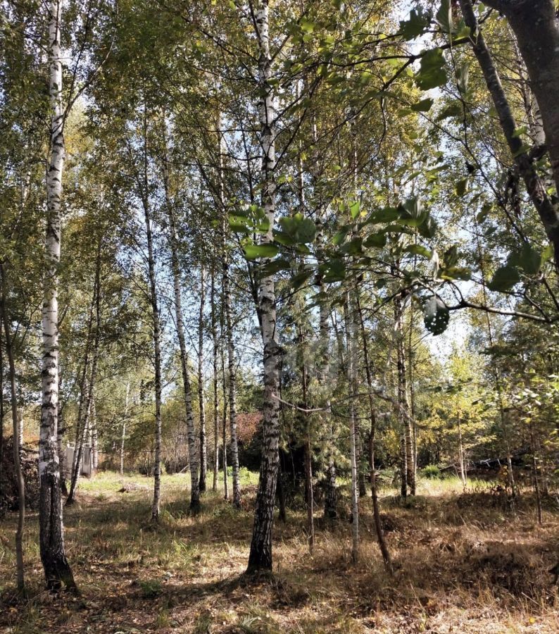 земля городской округ Талдомский п Вербилки СНТ Миг фото 3