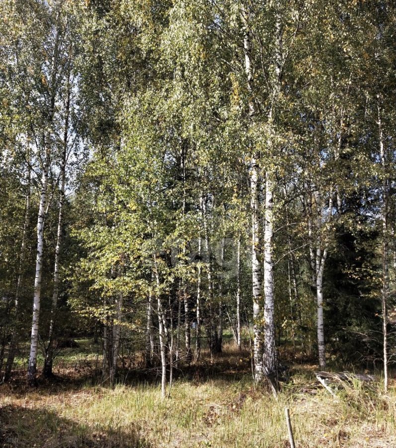 земля городской округ Талдомский п Вербилки СНТ Миг фото 5