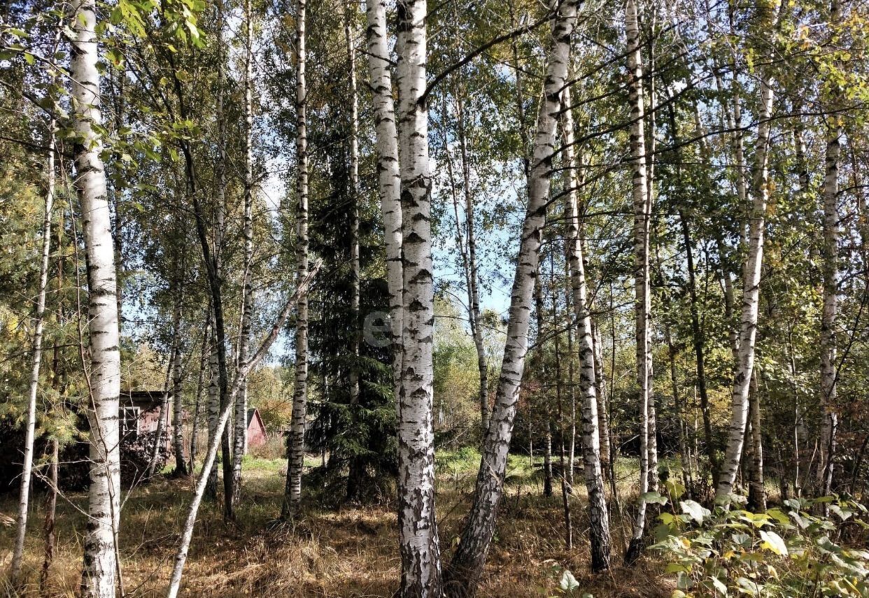 земля городской округ Талдомский п Вербилки СНТ Миг фото 7