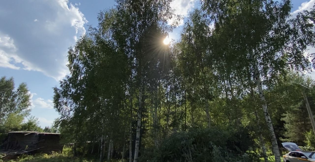 земля городской округ Талдомский п Вербилки СНТ Миг фото 13