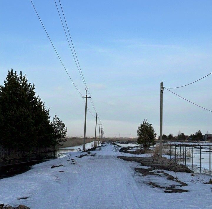 земля г Северодвинск снт Зеленый Бор ул Береговая муниципальное образование фото 5