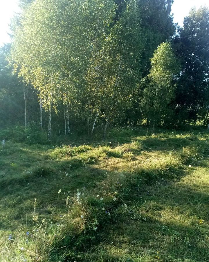 земля р-н Выгоничский с Лопушь Выгоничское городское поселение, Выгоничи фото 7