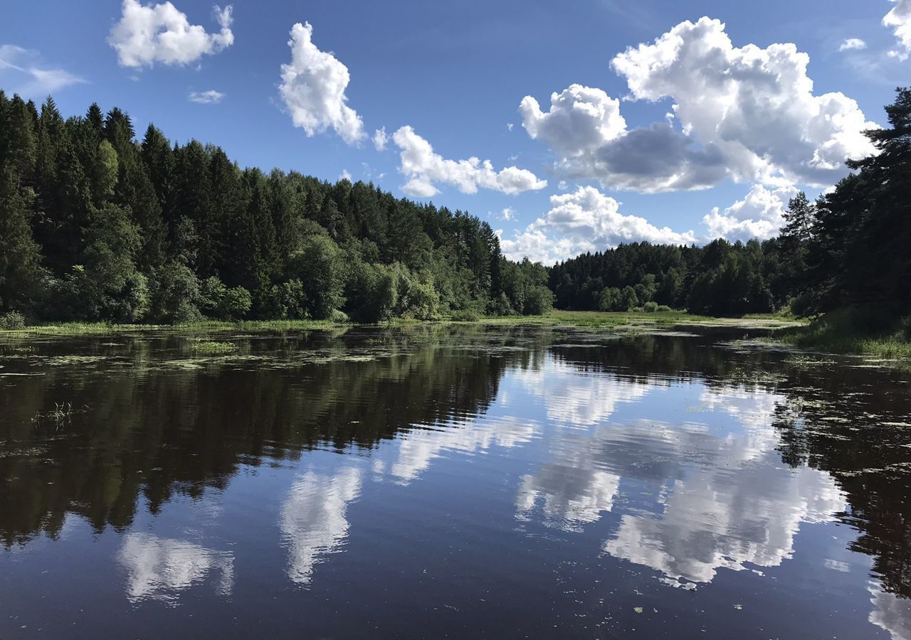 земля р-н Кинешемский д Пичугино Решемское сельское поселение, Кинешма фото 7