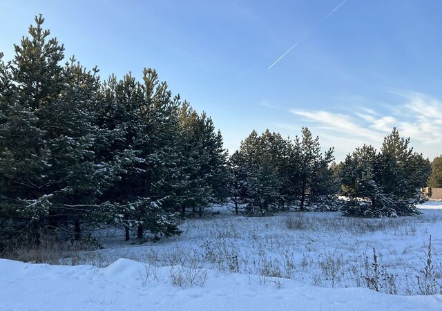 снт Топольки-1 Минусинский Минусинск фото