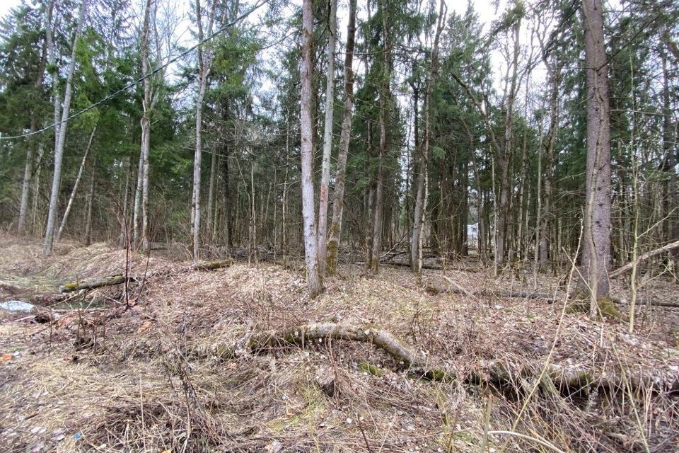 земля городской округ Сергиево-Посадский г Хотьково тер ДПК Весна пер Лазурный фото 4