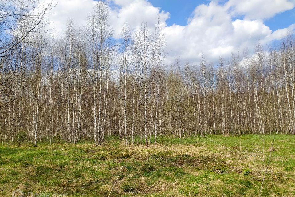 земля городской округ Солнечногорск территориальное управление Кривцовское фото 7