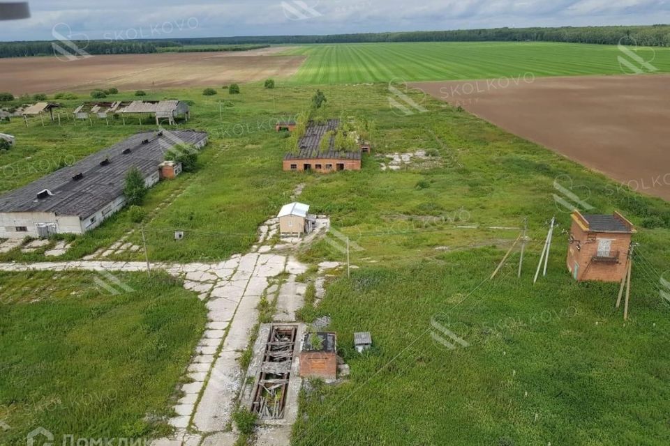 земля городской округ Ступино село Куртино фото 10