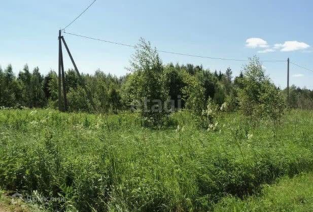 земля р-н Богородский садоводческое некоммерческое товарищество Энергетик фото 1