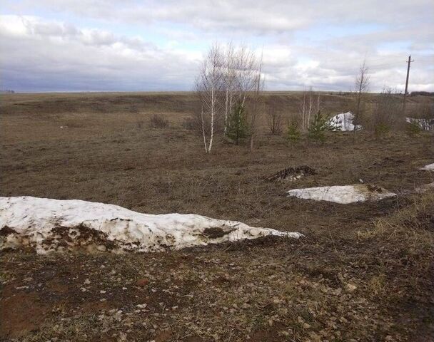 д Кутлинка ул Солнечная фото