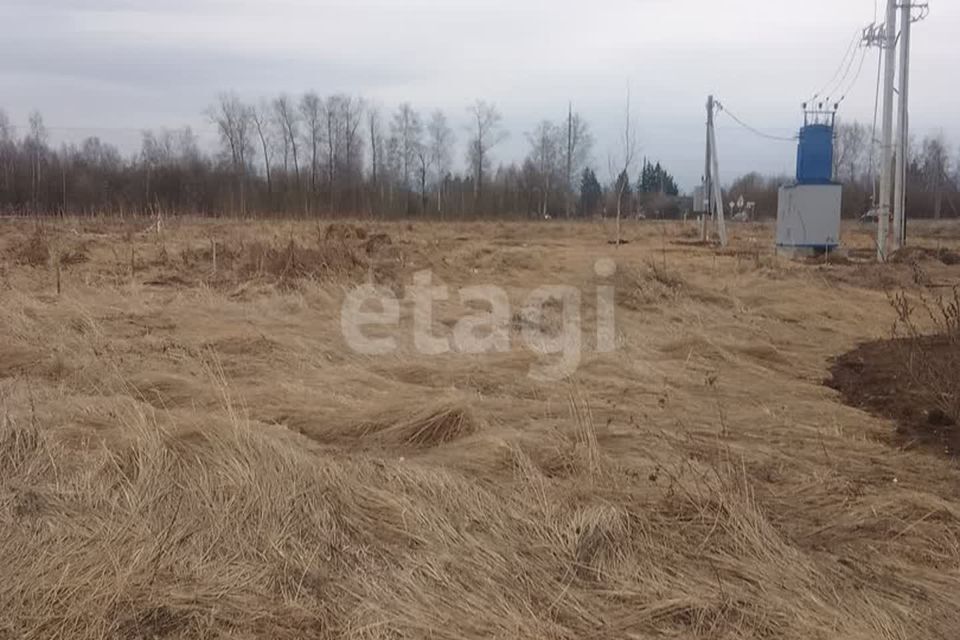 земля городской округ округ Муром, деревня Александровка фото 4