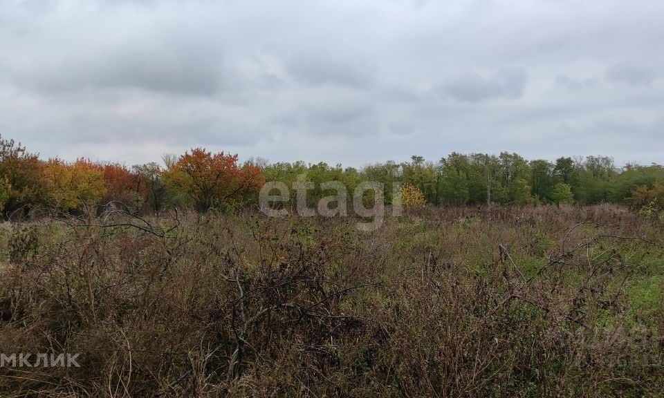 земля р-н Неклиновский село Андреево-Мелентьево фото 1