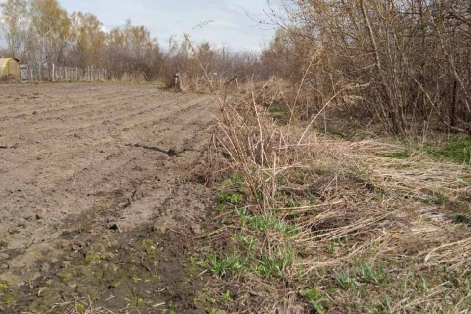 земля р-н Богородский с Лакша ул Заречная 15 фото 3