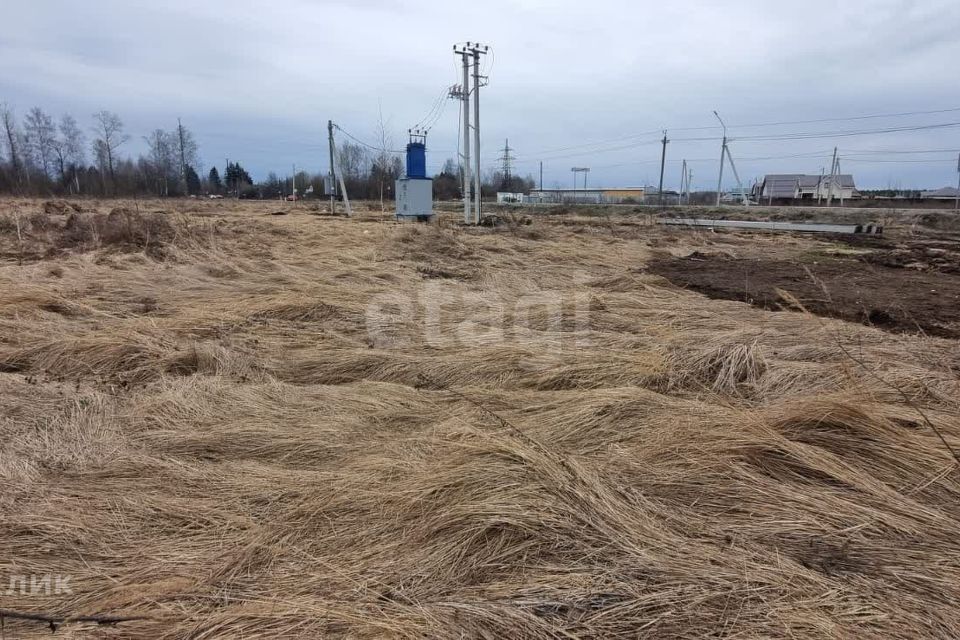 земля городской округ округ Муром, деревня Александровка фото 7