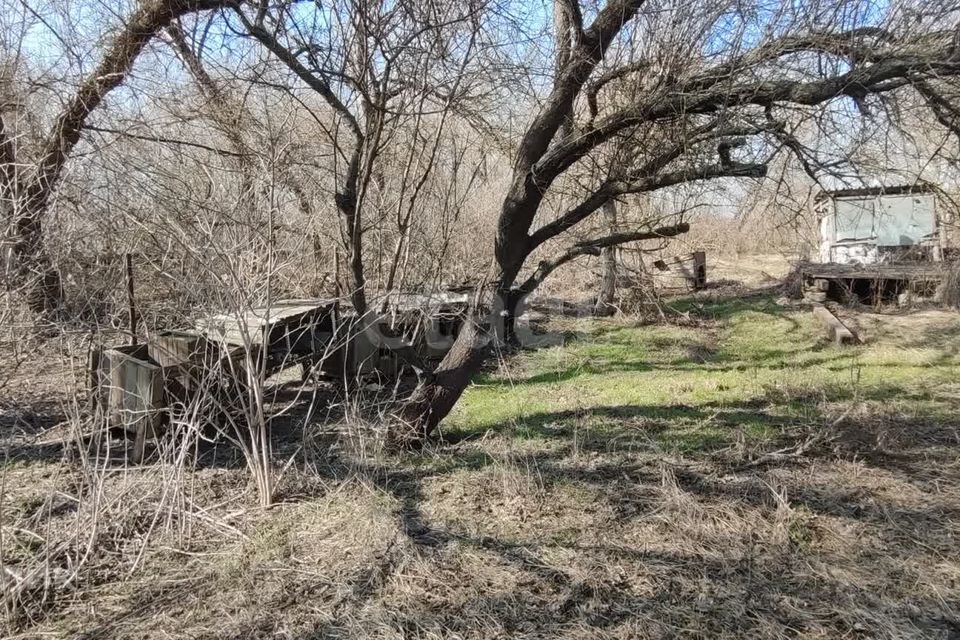 земля р-н Неклиновский село Щербаково фото 10