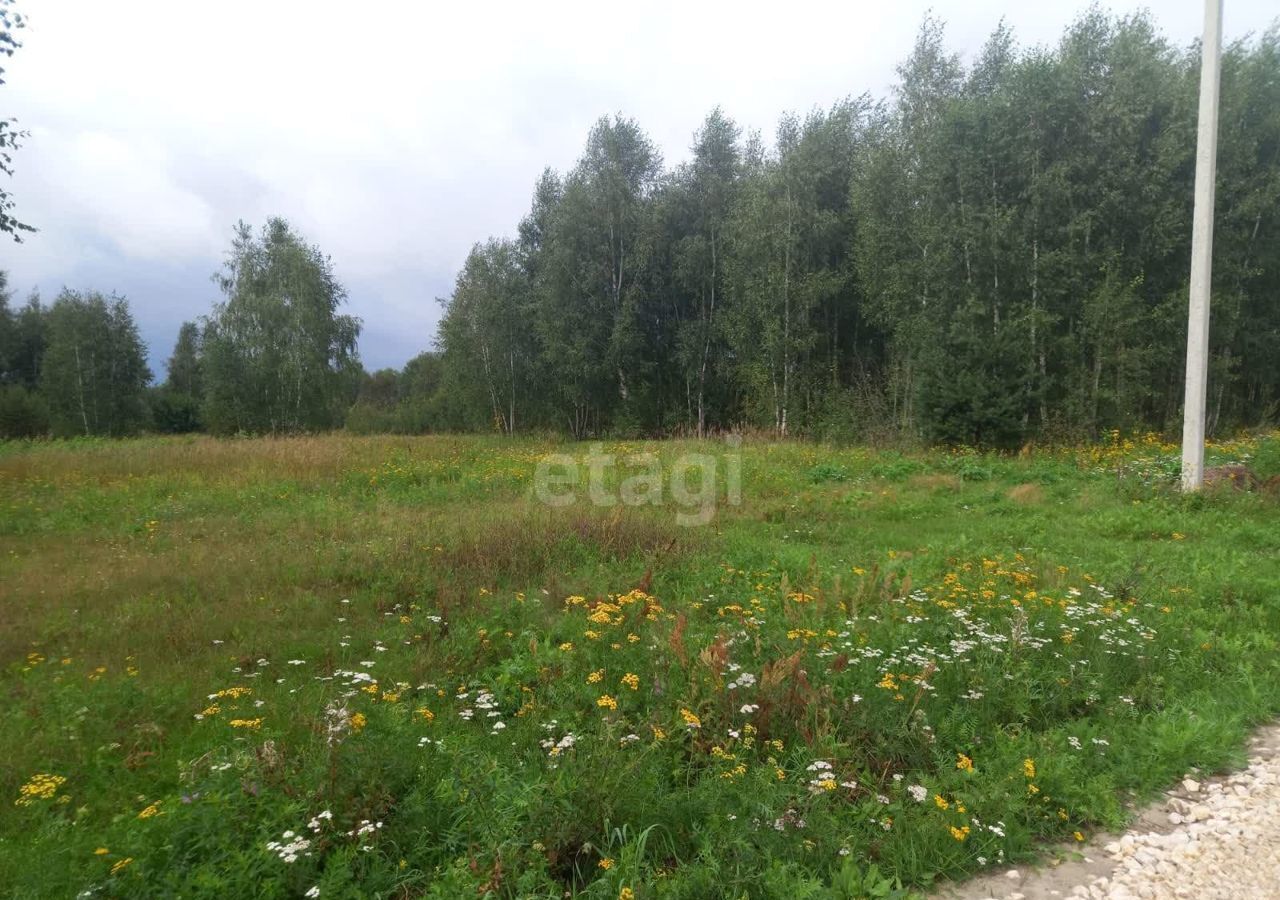 земля городской округ Орехово-Зуевский д Дуброво Ликино-Дулево фото 1