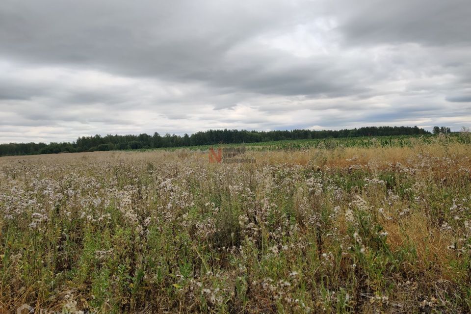 земля г Тюмень ул Олега Антонова городской округ Тюмень фото 1