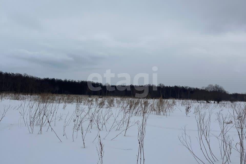 земля р-н Анивский село Воскресенское фото 2