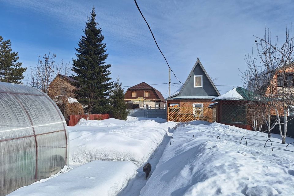 дом г Омск городской округ Омск, СНТ Берёзовая Роща фото 4