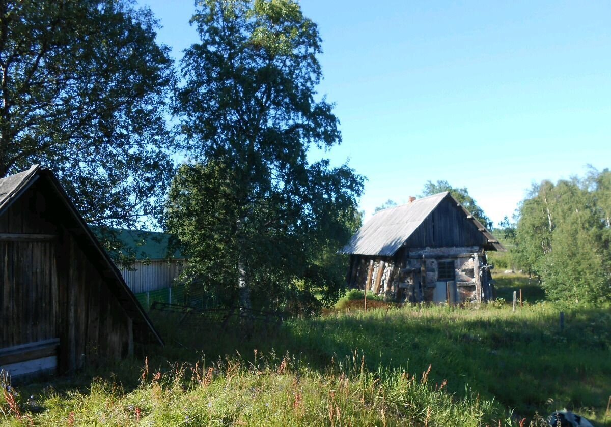 земля р-н Приморский п Соловецкий ул Северная Соловецкое, Карелия, Кемь, муниципальное образование фото 3