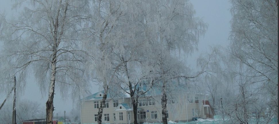 земля р-н Милославский с Чернава ул Свердлова 18 Чернавское сельское поселение, Милославское фото 7