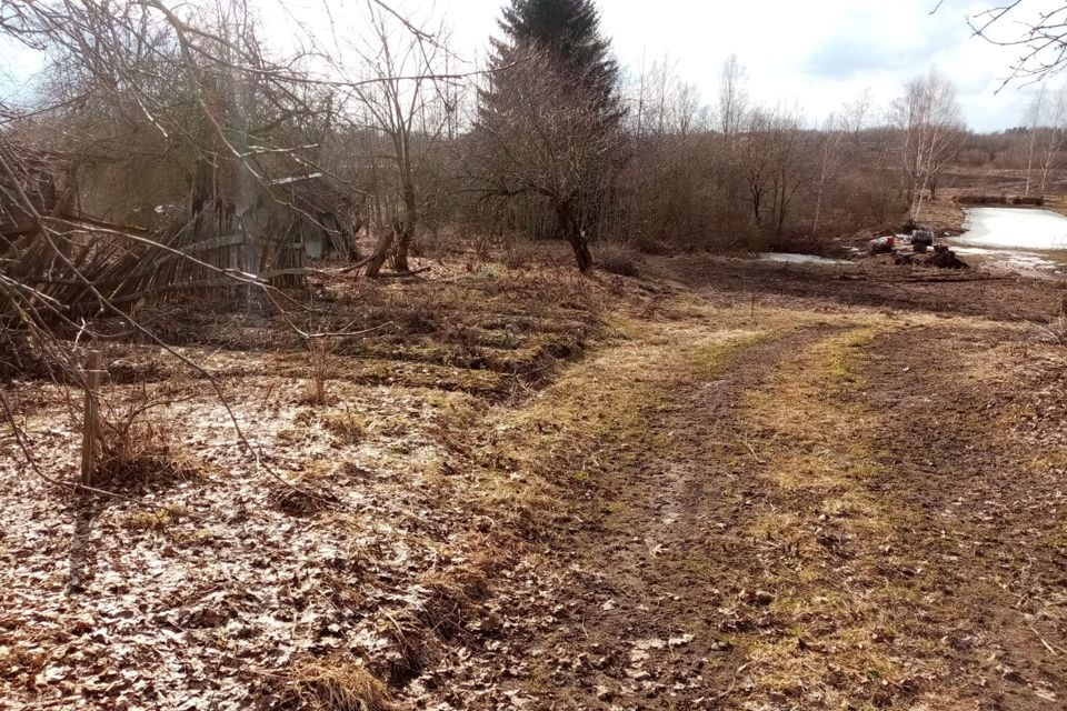 дом р-н Лужский д Шильцево ул Центральная 24 фото 4