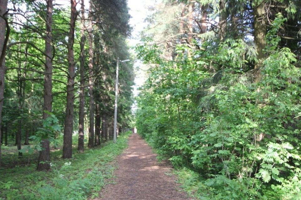 земля городской округ Наро-Фоминский территориальное управление Наро-Фоминск фото 7