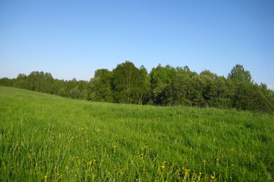 земля р-н Лодейнопольский Алёховщинское сельское поселение фото 2