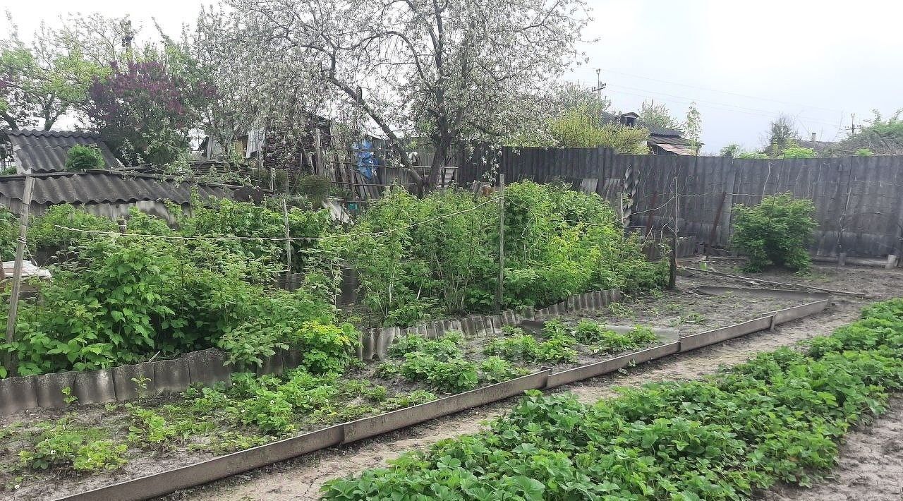 дом р-н Волоконовский с Староивановка ул Димитрова фото 17