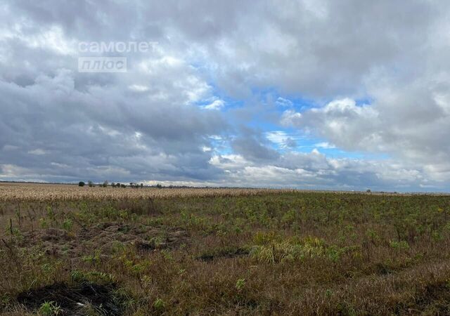 Отрадненское сельское поселение, Брянск фото