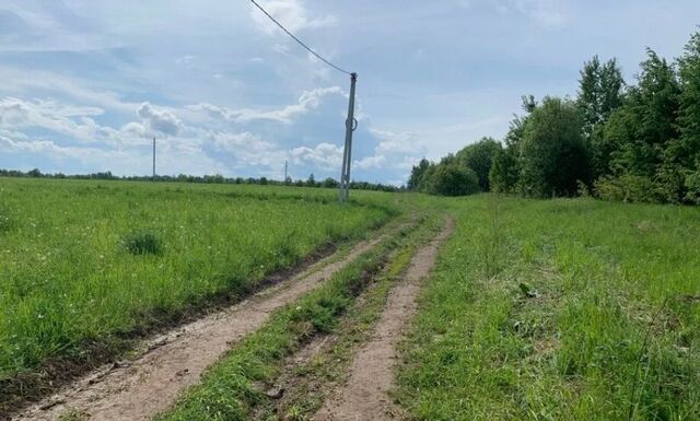 муниципальное образование Андреевское, Александров фото