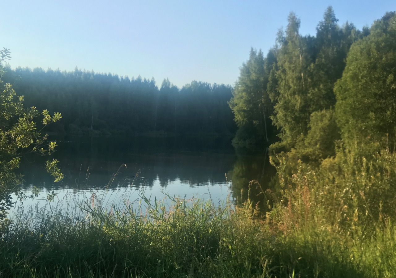 земля городской округ Сергиево-Посадский д Трёхселище Богородское фото 2