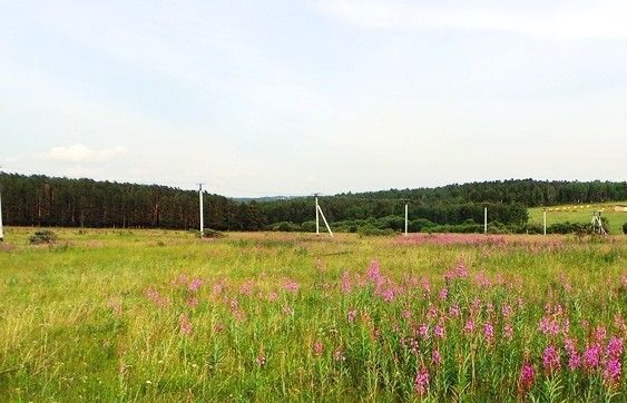 земля р-н Мелекесский с Сабакаево Лебяжинское сельское поселение, Димитровград фото 1