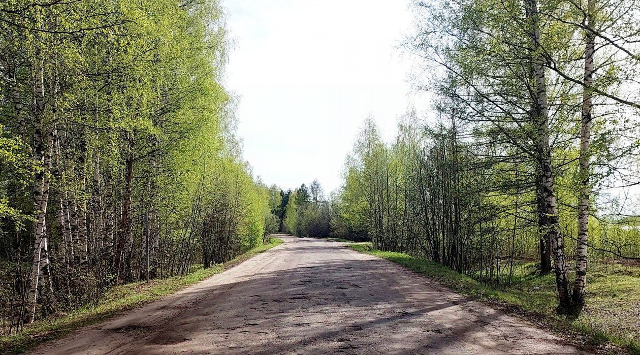 земля р-н Некрасовский д Турово с пос, Некрасовское фото 21