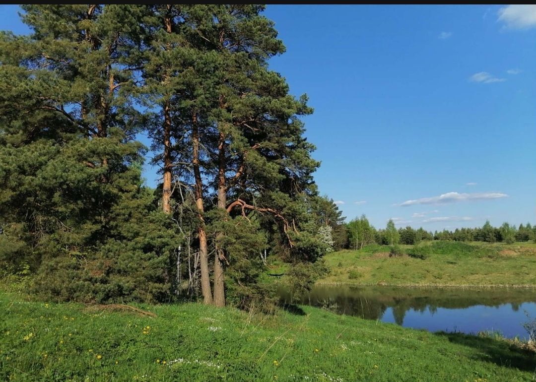 земля г Тула Малаховское, садовые участки, ул. Авиаторов, Заокский фото 11