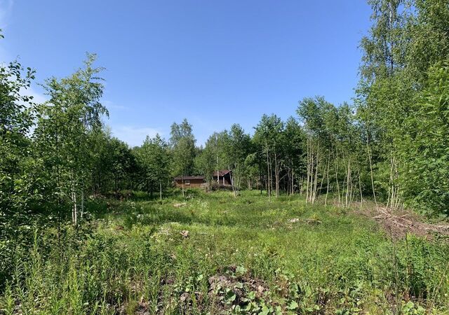 снт тер.Сосновый-нижний массив Ларионовское сельское поселение, Приозерск фото