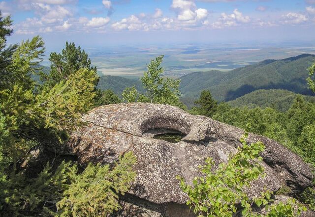 с Макарьевка ул Центральная Алтайское фото