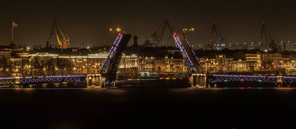 квартира г Санкт-Петербург метро Адмиралтейская пл Троицкая 1 фото 35