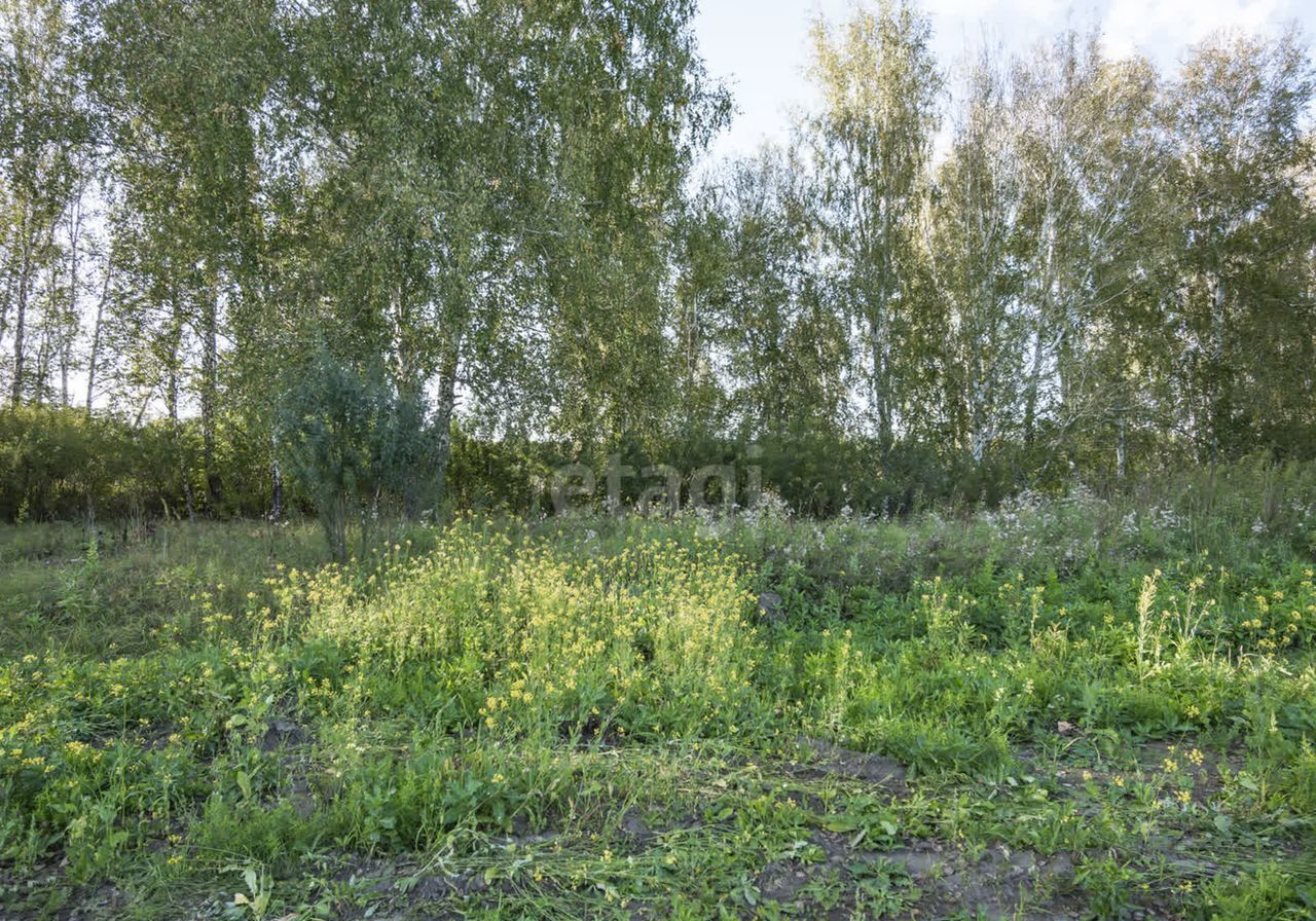 земля р-н Новосибирский Кубовинский сельсовет, коттеджный пос. Лаки Парк, Новосибирск фото 17