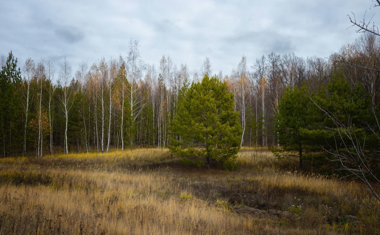 земля городской округ Клин г Высоковск дп. Клинские Сады, г. о. Клин фото 1