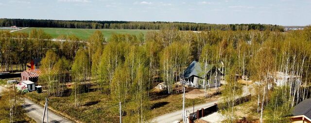 городской округ Домодедово д Степыгино Троицкое фото