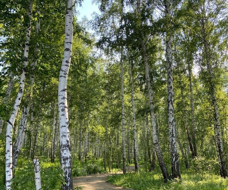 квартира р-н Сосновский п Пригородный ул Ласковая 9 фото 8