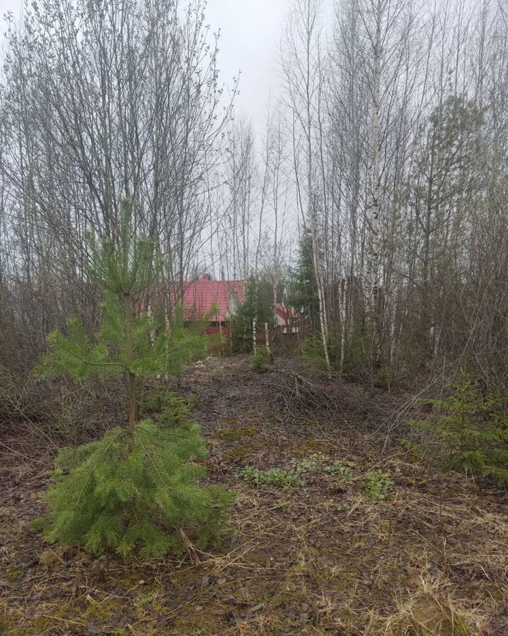 земля городской округ Мытищи д Сухарево Некрасовский фото 9