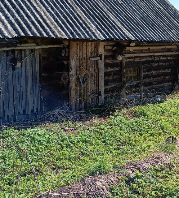 дом р-н Батецкий деревня Змеёва гора фото 10